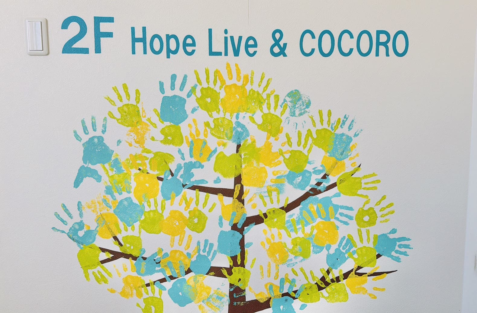 ギャラリー画像